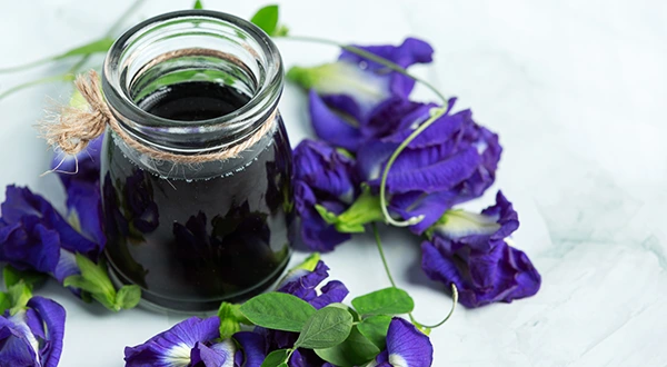 สมุนไพร อัญชัน